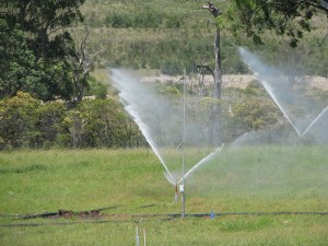 IMG_3218