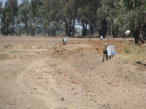 IMG_4030